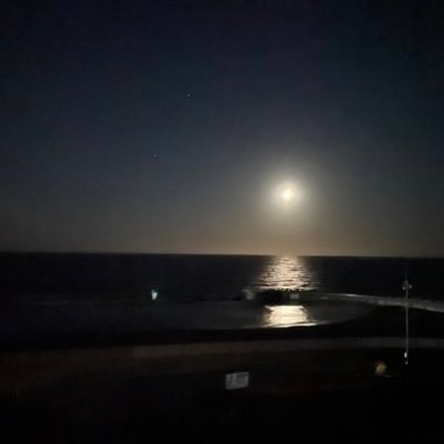 pengiuins's profile picture. 