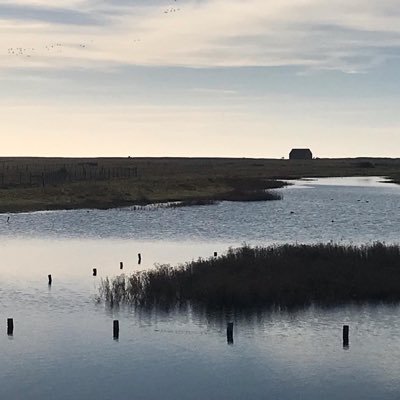 An unstable body in an unstable landscape | PhD @placecentre Romney Marshes & post-viral Illness @LouiseKenward | prev writer in residence Sussex Wildlife Trust