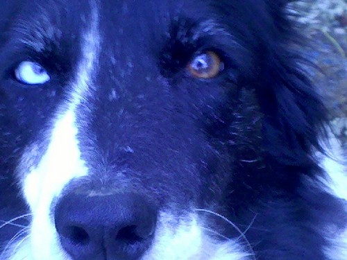 apostlewoody's profile picture. Astrophysicist and creator of pop tarts. And foremost authority on all that matters. Proudly Blocked by Corrupt Gov Huckebee!