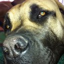 Belinda Magee - @mageebelinda - Twitter