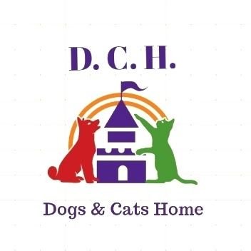 Dogs & Cats Home 🛖🐶🐱