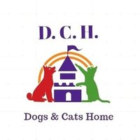 Dogs & Cats Home 🛖🐶🐱 (@dogs_cats_home) 's Twitter Profile Photo Dogs & Cats Home 🛖🐶🐱 (@dogs_cats_home) 's Twitter Profile Photo