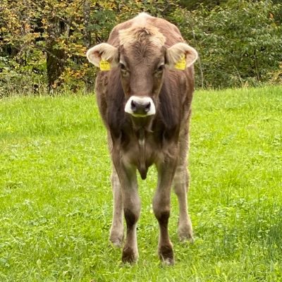 thms_24's profile picture. 