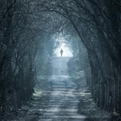 silverlight_92's profile picture.