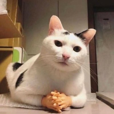 itizspamtime's profile picture. no more horny on main