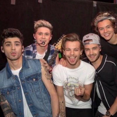 she/her|| ot5🥰|| all along is my fave song || I LOVE ONE DIRECTION ❤️💛🇮🇪💙💚 ns larrie || #AlwaysOnYourSideLouis #TPWK
fly high Liam ❤️
