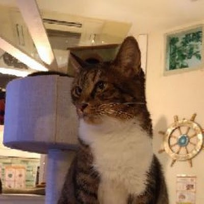 necoma0828's profile picture. 