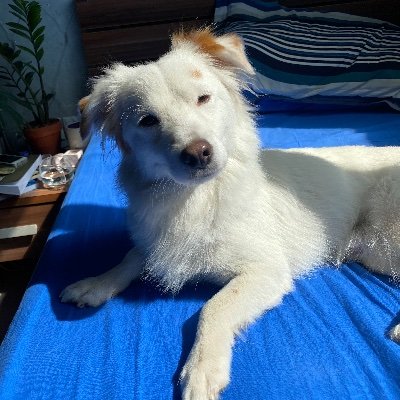 sru8415's profile picture. 