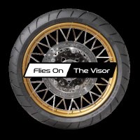 FliesOnTheVisor (@fliesonthevisor) 's Twitter Profile Photo