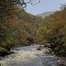 Holiday in Dartmoor (@holidaydartmoor) Twitter profile photo Holiday in Dartmoor (@holidaydartmoor) Twitter profile photo