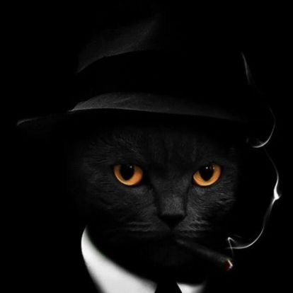 GmCita1's profile picture. 