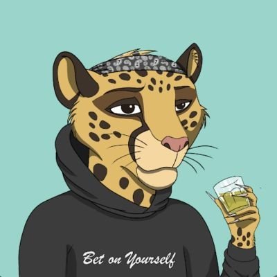 krakcrypto7071's profile picture. $BTC $ETH $XRP $ADA $NFT