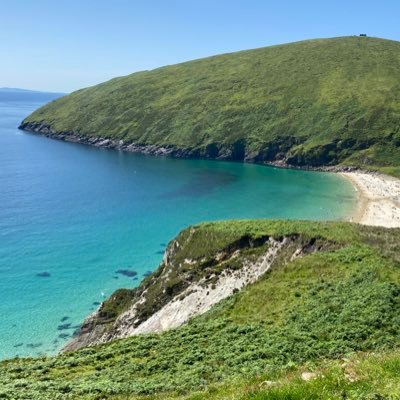 rosanne_roe's profile picture. Post Primary Educator, Irish Dance Teacher, Grower, writer