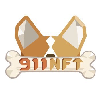 911nft_xyz Profile Picture