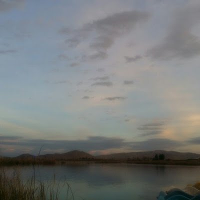 1986Ronak's profile picture. 