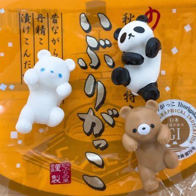 2022年SFC解脱🙋♀️旅行、飛行機好きのアラサーです🥰無言フォロー失礼します🫣NGOベース✈️いぶりがっこおいしい💃