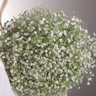 Delaram85941283's profile picture. 