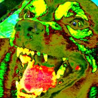 Eli (@zennmachine) 's Twitter Profile