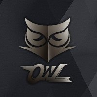 OWL Guild (@mirofbsc) 's Twitter Profile