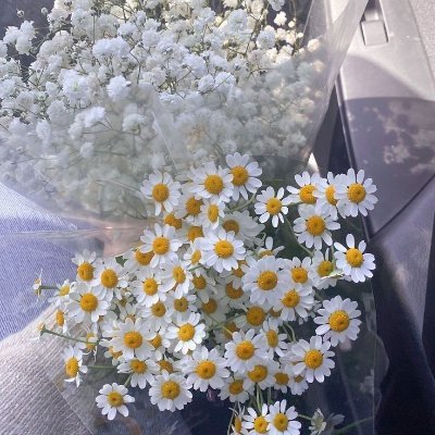 Wooden_Portrait's profile picture. .