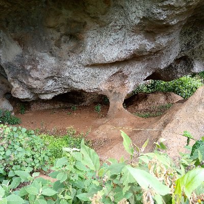 CetrickKwerit's profile picture. Politics and tourism