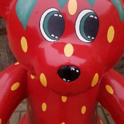 hoflauenroth's profile picture. 