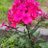 hare_krishna87
