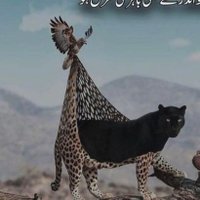 Mian Saif (@miansaif0) 's Twitter Profile