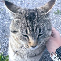 SODA (@sodacure21) 's Twitter Profile Photo