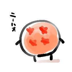すーしんちゅさんのプロフィール画像