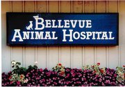 Since 1955 Bellevue Animal Hospital has provided exceptional healthcare for dogs and cats.