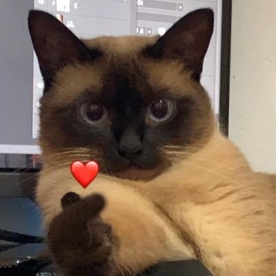 khongcher's profile picture. exits on my own terms | มีทวิตเตอร์ไว้พูดคนเดียว |พิฌคือศาสดา 
น้อนเจน น้อนเจน น้อนเจน น้อนเจน น้อนเจน