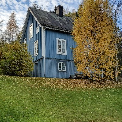 BodinIan's profile picture. Pensionär, fd medicinsk sekr. Intresserad av politik  ekonomi. Har en stilig man underbaraste lilla vovven och ett gott liv!