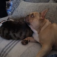 kat (@saffy123uk) 's Twitter Profile Photo kat (@saffy123uk) 's Twitter Profile Photo