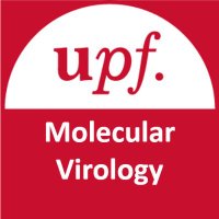 Molecular Virology(@ViroUPF) 's Twitter Profile Photo