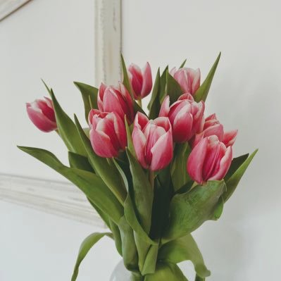 mimo_in_De's profile picture. 仕事退職→ ドイツ在住 →再就職| B2取得済　| 🐈自分の物欲/趣味発信と記録 ※写真多め 💄🩰🕊️🦢🏹⟡.*