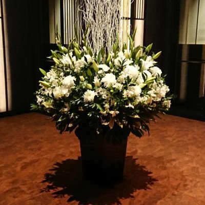 kawachii823's profile picture. 