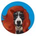 Hare of the Dog Comedy (@hareofthedogcom) Twitter profile photo Hare of the Dog Comedy (@hareofthedogcom) Twitter profile photo