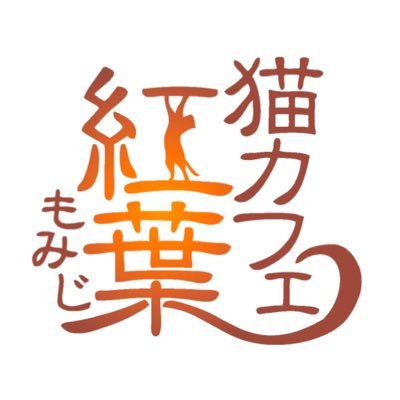 猫カフェ紅葉では猫ちゃん達の負担軽減のため業界では珍しい貸切制を導入しております。 清潔感のある広々としたお部屋を贅沢に貸切にてご利用いただけます。 さらにはふとした時に気軽に利用いただけるおひとり様専用ルームも完備。 個性豊かな猫ちゃん達との唯一無二な癒やしのひと時をお楽しみください。詳しくはHPをチェック！