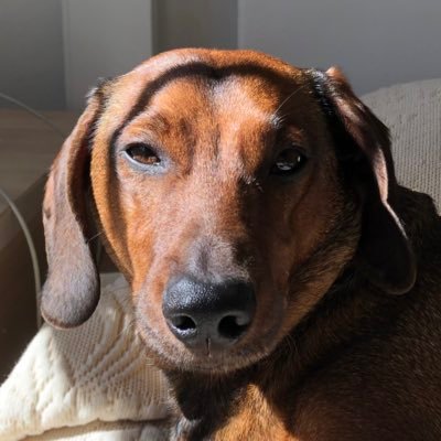 EMurriv's profile picture. 