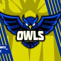 OWLS eSports 🦉🇪🇦(@OWLSeSports_) 's Twitter Profile Photo