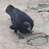 Coopercopper12 (@weaver73113836) 's Twitter Profile