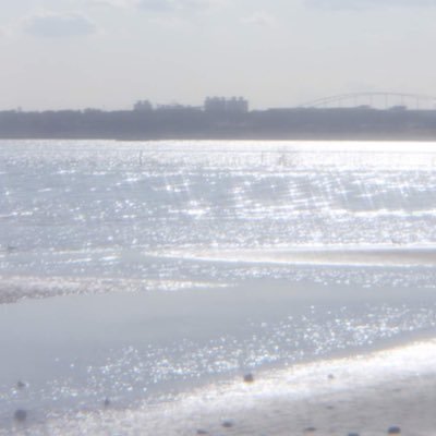 poorloom's profile picture. 糸です 20⇧ ┈ジャンル混沌アカウント┈