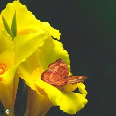 NurKelre77's profile picture. Saint Dr.MSG is my life.

लगन Saint Dr. MSG से लगा बैठे ,
इसे ये दुनिया वाले क्या जाने।