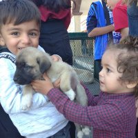 Ahmet Tiryaki (@ahmet_0658) Twitter profile photo