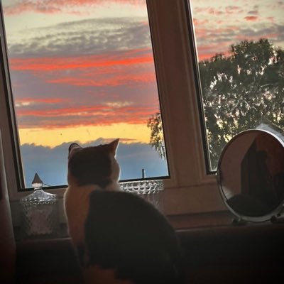 daker_julia's profile picture. 