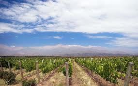 Potenciando el Turismo del Vino en Mendoza.