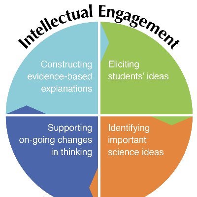 Data Puzzles are data analysis resources for MS/HS classrooms that incorporate Ambitious Science Teaching practices to help students make sense of phenomena