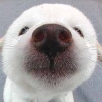 와로 (@chuchuno_2) 's Twitter Profile Photo 와로 (@chuchuno_2) 's Twitter Profile Photo