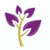 Norwich Primary Academy (@norwichnpa) Twitter profile photo Norwich Primary Academy (@norwichnpa) Twitter profile photo